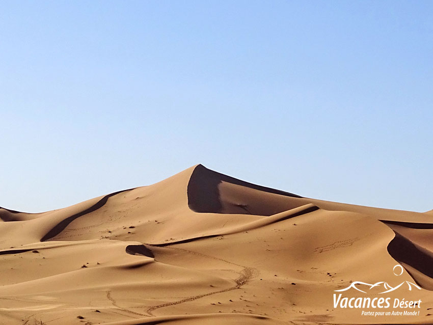 Voyage au désert : Immersion unique au cœur du Sud Maroc